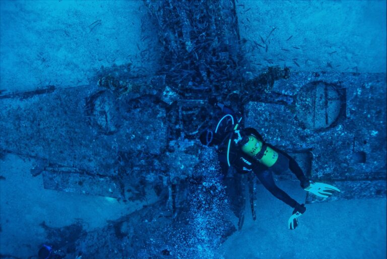 The Best Dive Torch for Night Diving: Safety-Focused Buyer’s Guide