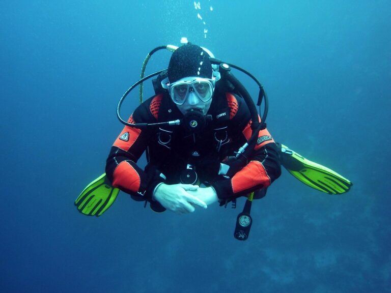 Dive Computer vs. Dive Watch: Which Safety Tool Do You Need?