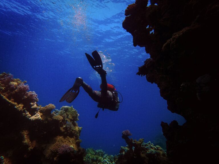 Dive Accident Insurance Coverage: What Divers Should Look For