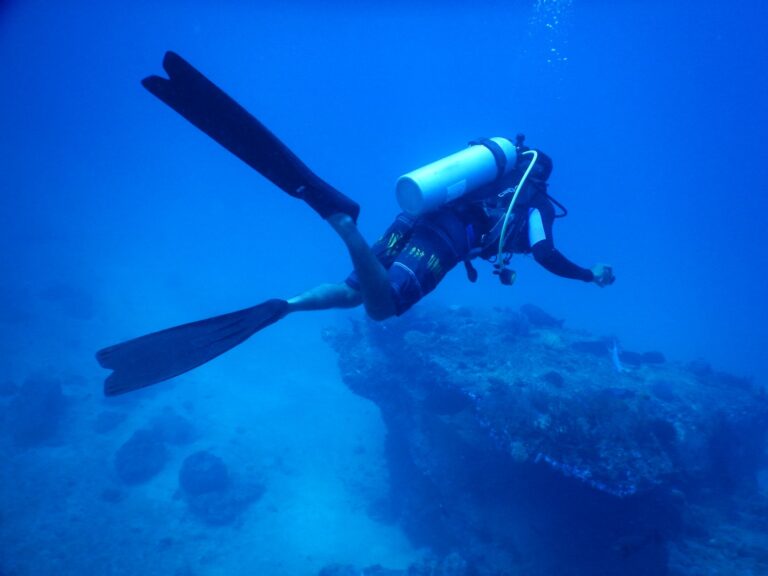 Best Dive Travel Insurance Plans: Expert Recommendations for Safer Diving